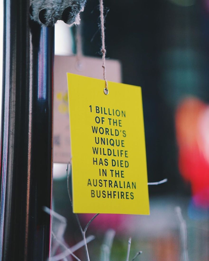 New York City Is Filled With Cute Stuffed Koalas Encouraging People To Donate To Australia (23 Pics) New York City Is Filled With Cute Stuffed Koalas Encouraging People To Donate To Australia (23 Pics)