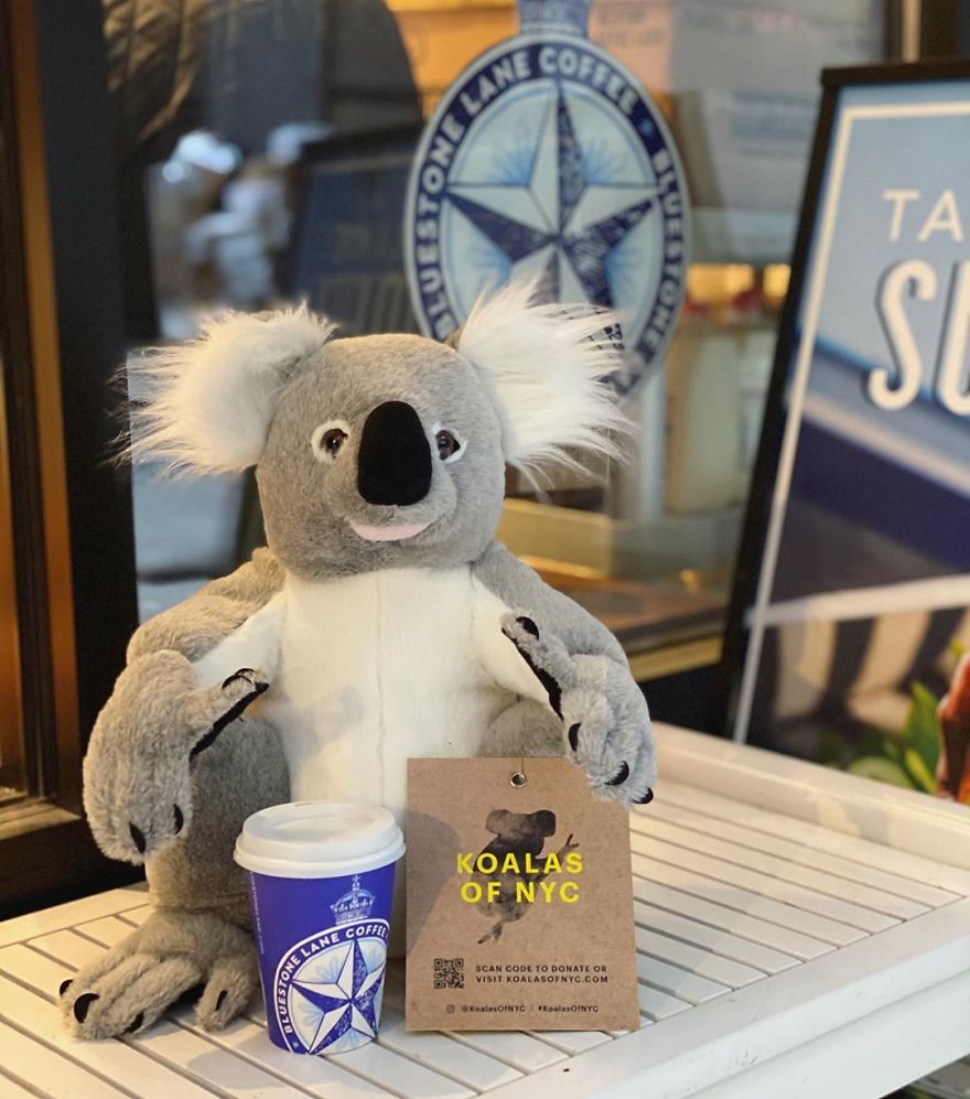 New York City Is Filled With Cute Stuffed Koalas Encouraging People To Donate To Australia (23 Pics) New York City Is Filled With Cute Stuffed Koalas Encouraging People To Donate To Australia (23 Pics)
