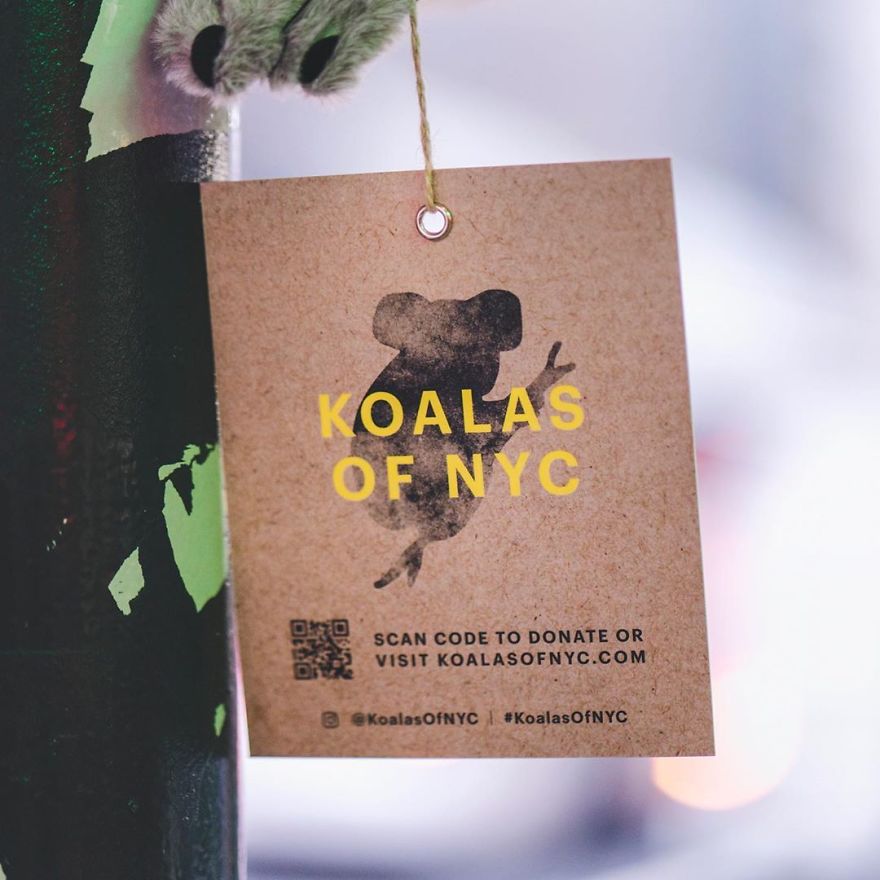 New York City Is Filled With Cute Stuffed Koalas Encouraging People To Donate To Australia (23 Pics) New York City Is Filled With Cute Stuffed Koalas Encouraging People To Donate To Australia (23 Pics)
