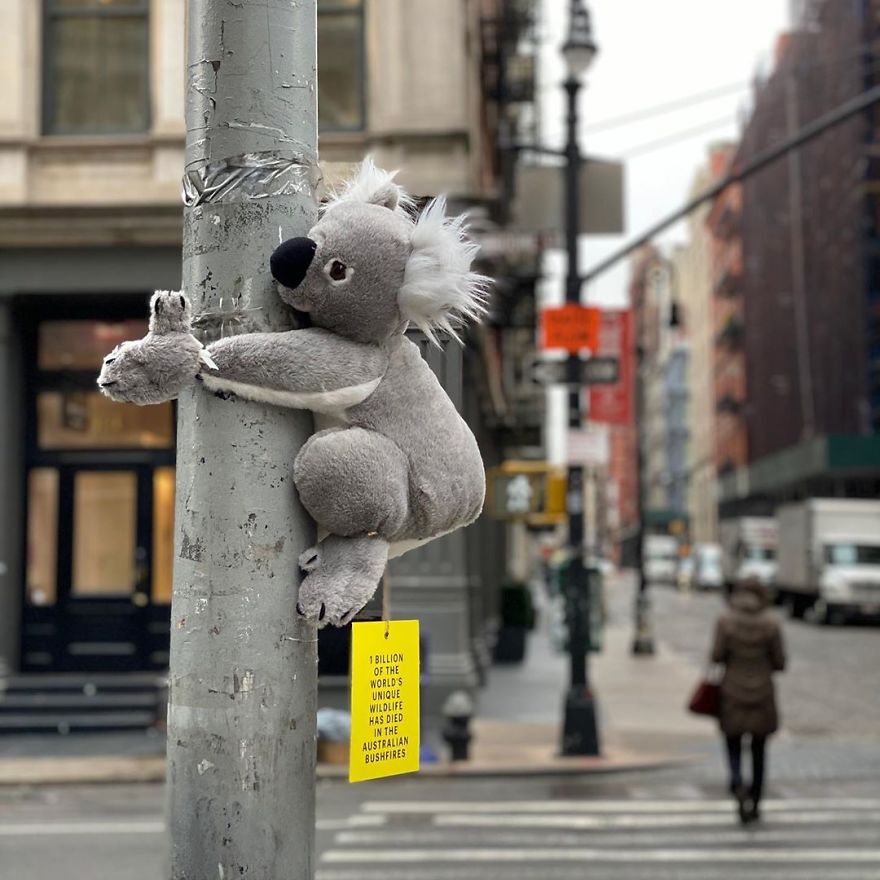 New York City Is Filled With Cute Stuffed Koalas Encouraging People To Donate To Australia (23 Pics) New York City Is Filled With Cute Stuffed Koalas Encouraging People To Donate To Australia (23 Pics)