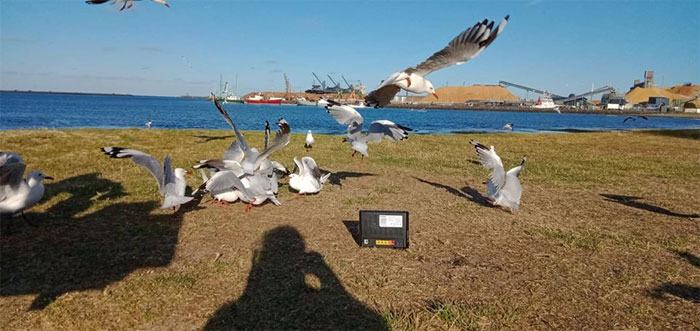 Kids Don’t Want To Go On A Family Trip, So Their Parents Take Their Modem Instead Kids Don’t Want To Go On A Family Trip, So Their Parents Take Their Modem Instead