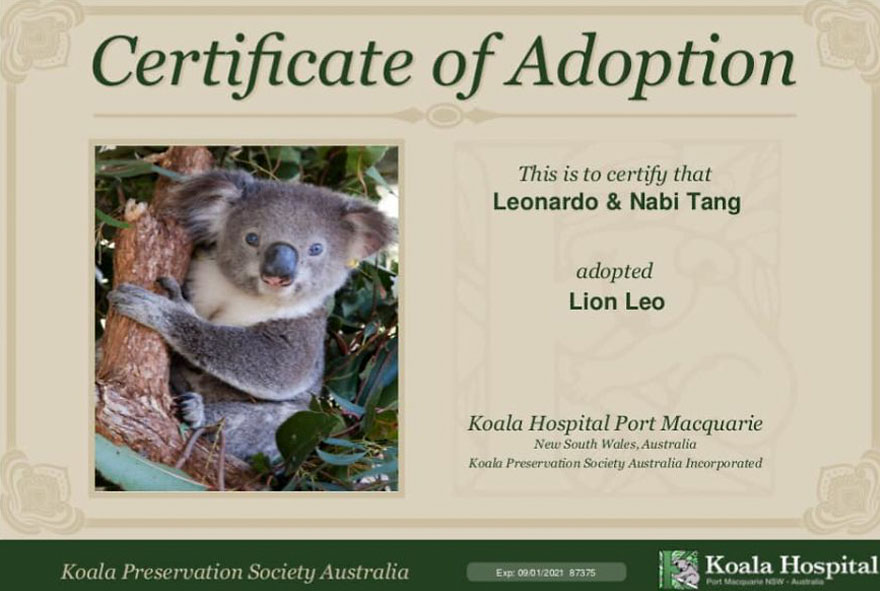 My Son And I Spent At Least 5 Years Growing Our Hair Out And Now We Decided To Donate For Children With Cancer And Raise Money To Save Koalas