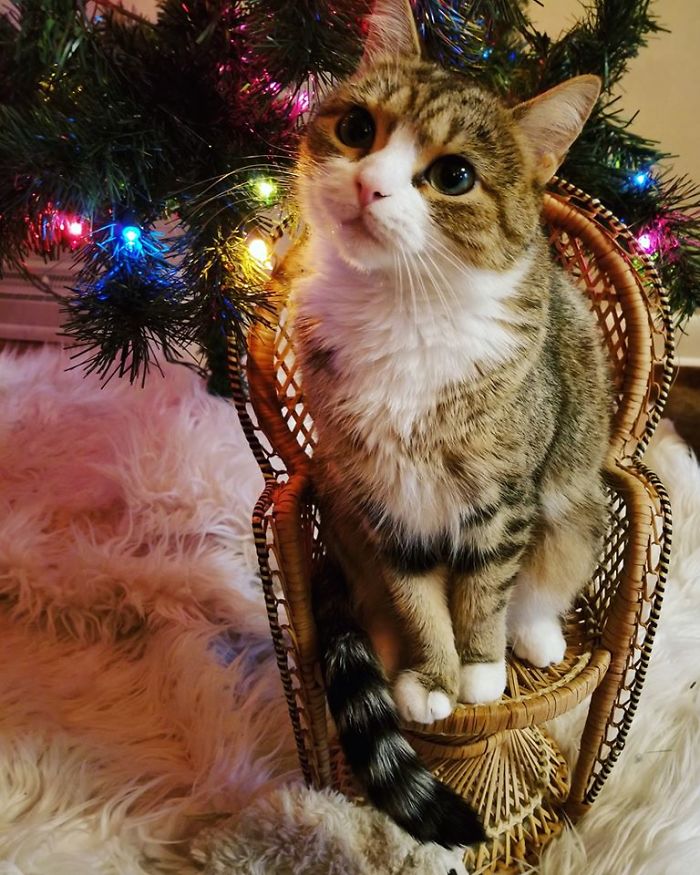 50 Times People Couldn’t Believe Their Luck In Thrift Stores, Flea Markets And Garage Sales (New Pics)