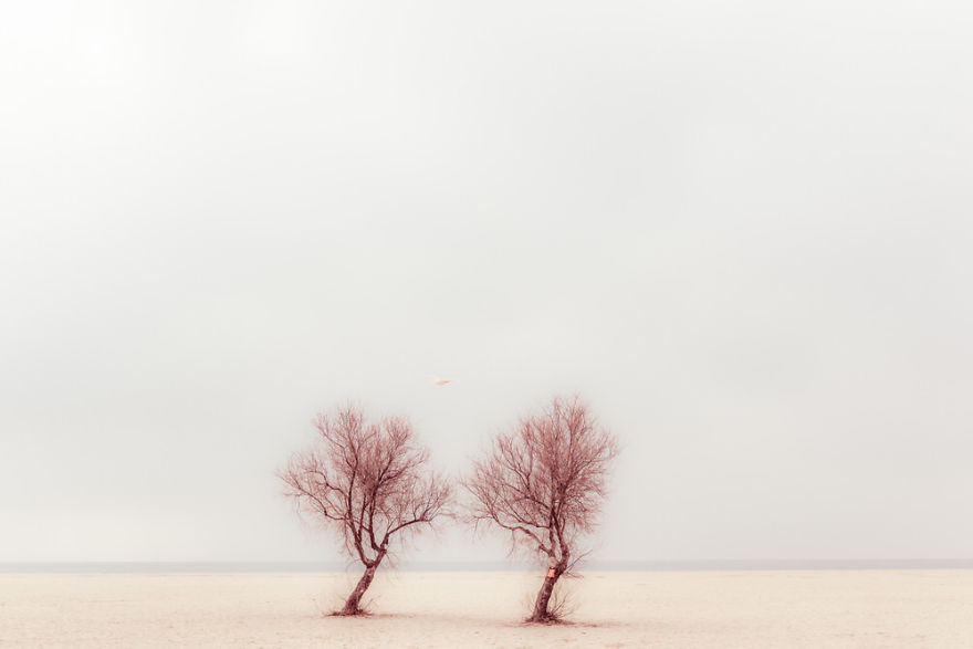 Winners Of The Independent Photographer’s ‘Open Call’ Competition Winners Of The Independent Photographer’s ‘Open Call’ Competition