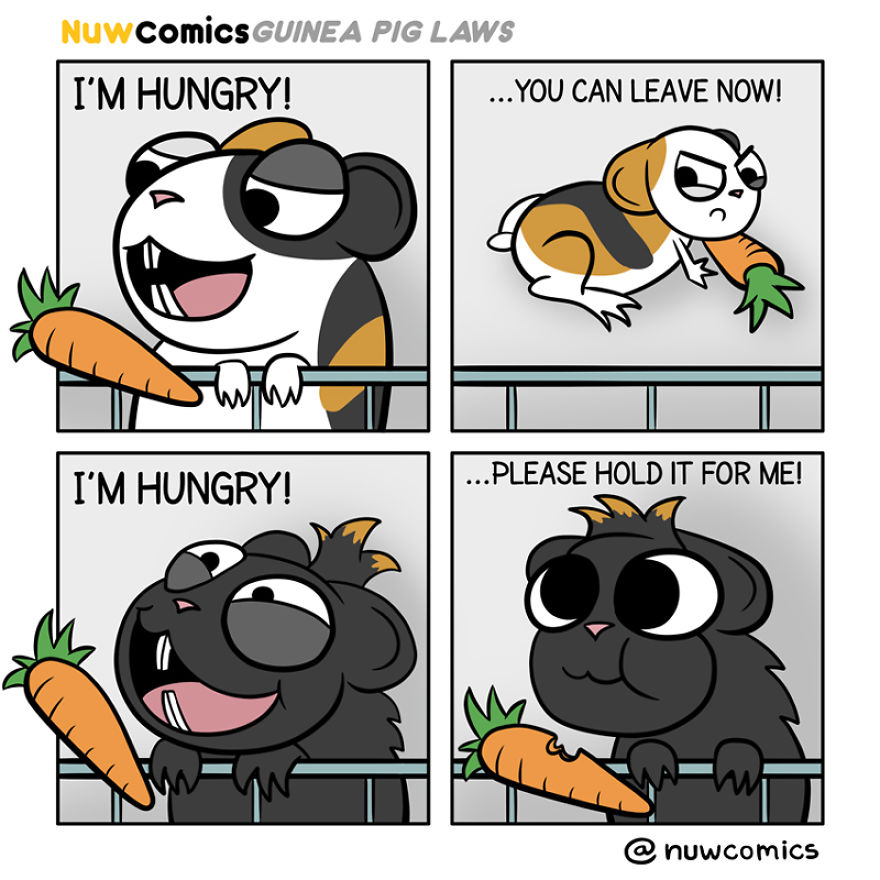 After 8 Amazing Years Of Owning My Guinea Pigs, I Created Tribute Comics For Them After 8 Amazing Years Of Owning My Guinea Pigs, I Created Tribute Comics For Them