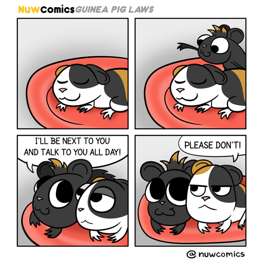 After 8 Amazing Years Of Owning My Guinea Pigs, I Created Tribute Comics For Them After 8 Amazing Years Of Owning My Guinea Pigs, I Created Tribute Comics For Them