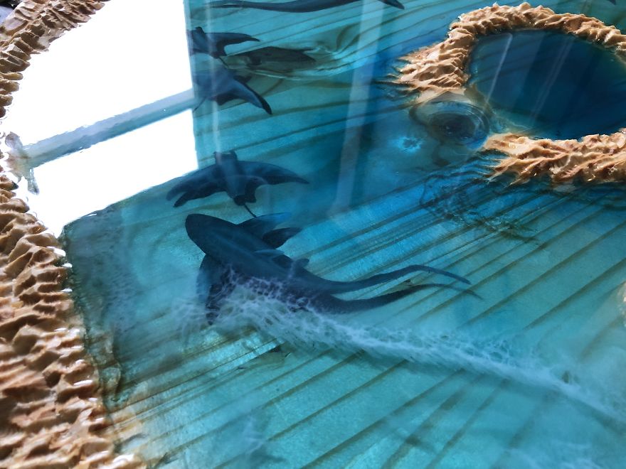 This Ocean Atoll Represents Natural Harmony This Ocean Atoll Represents Natural Harmony