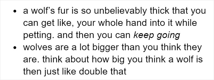 Someone Who Got To Know Wolves Lists The Things We Might Not Know About Them