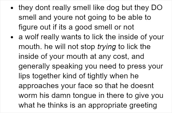 Someone Who Got To Know Wolves Lists The Things We Might Not Know About Them