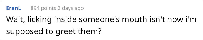 Someone Who Got To Know Wolves Lists The Things We Might Not Know About Them