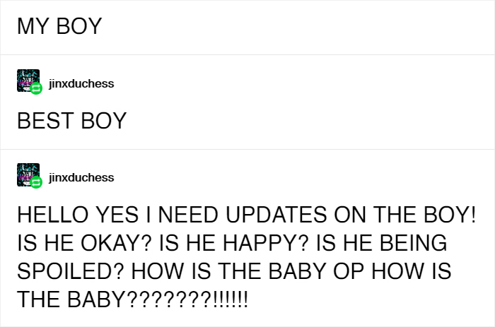 Woman Posts A Story About Adopting A Cat Named After A Breakfast Sandwich, It Goes Viral