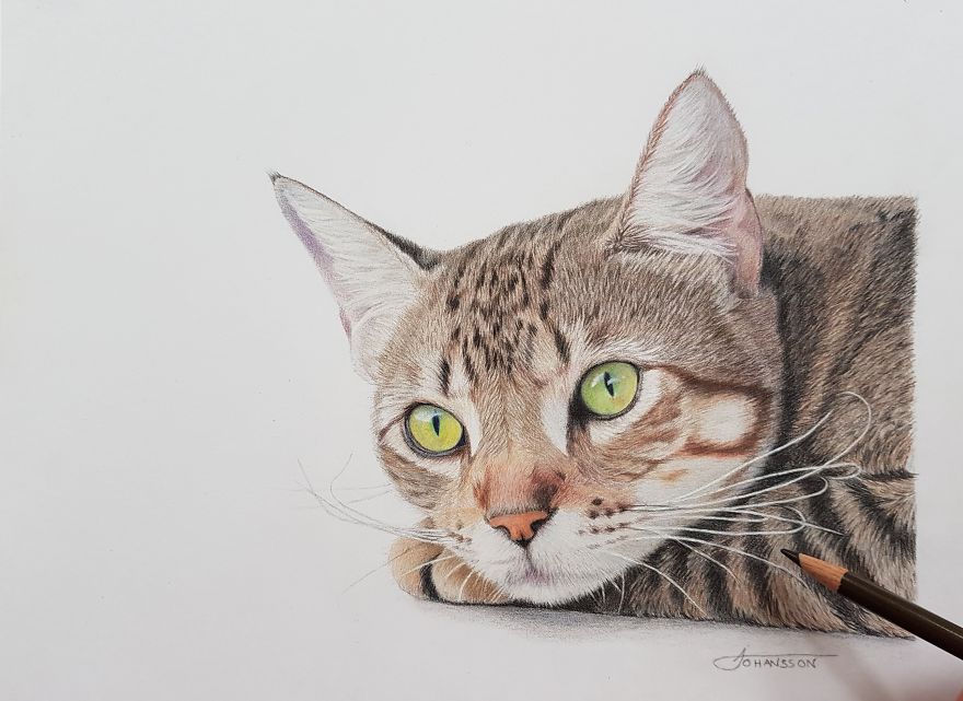 My Realistic Drawings My Realistic Drawings