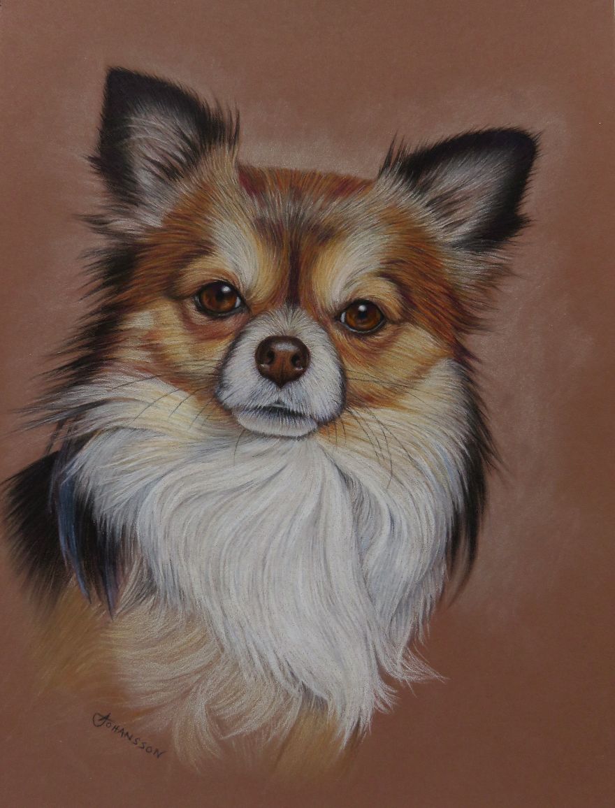 My Realistic Drawings My Realistic Drawings