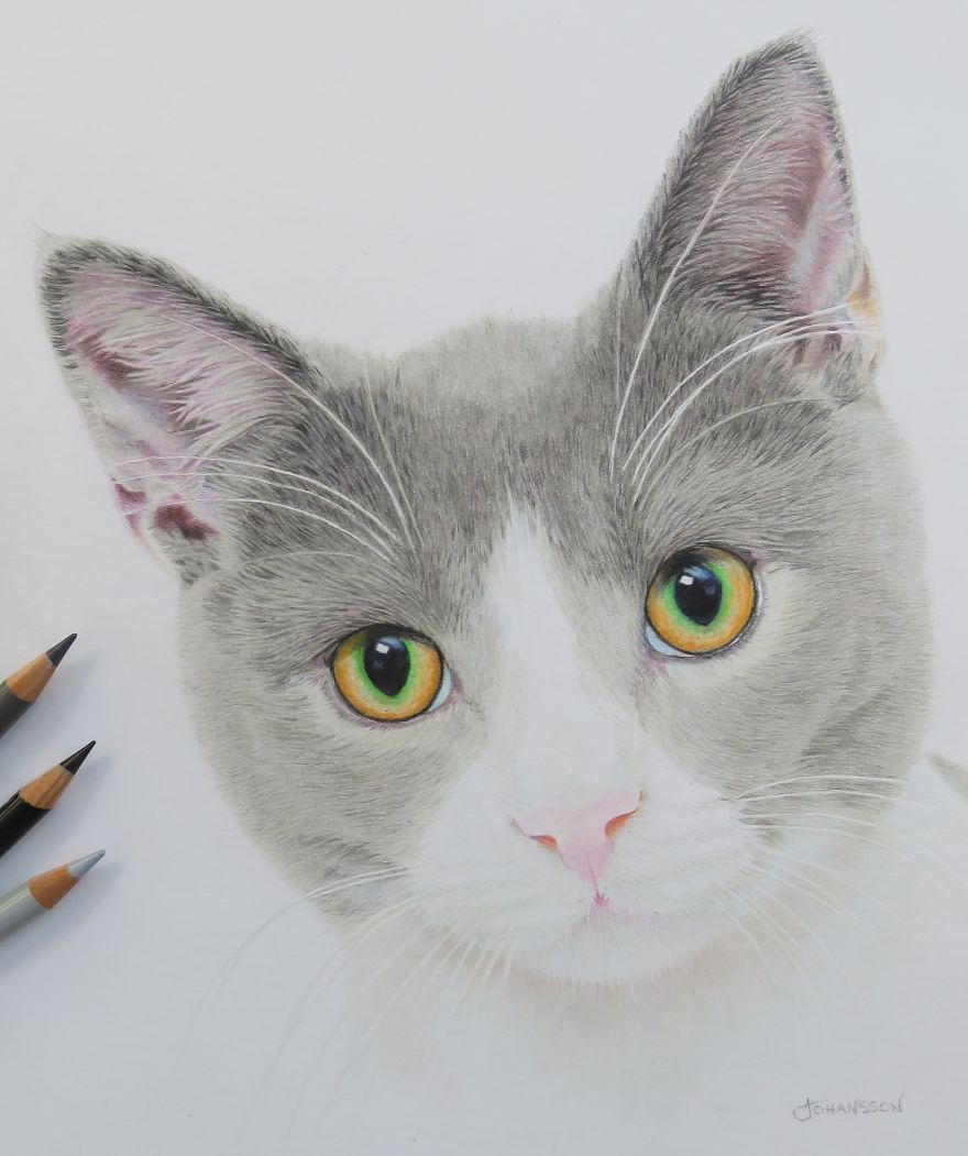 My Realistic Drawings My Realistic Drawings