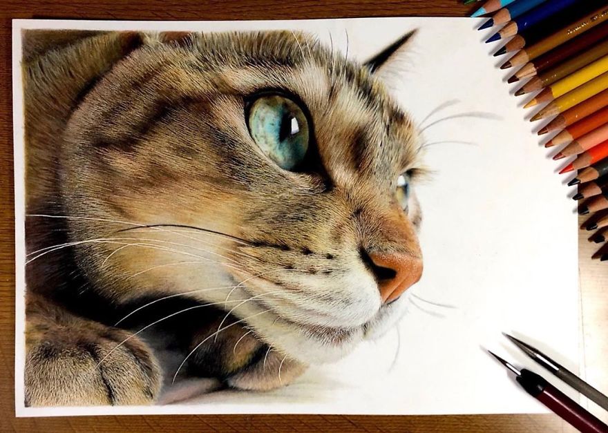 23 Hyper-Realistic Artworks Of Cats That Are Hard To Believe Aren’t Photographs By A Japanese Artist 23 Hyper-Realistic Artworks Of Cats That Are Hard To Believe Aren’t Photographs By A Japanese Artist