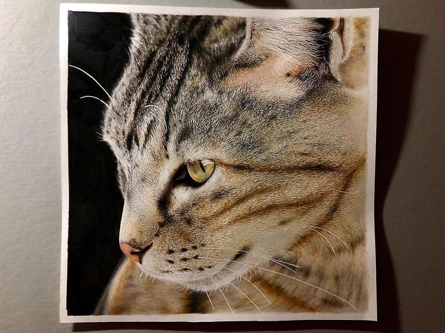 23 Hyper-Realistic Artworks Of Cats That Are Hard To Believe Aren’t Photographs By A Japanese Artist 23 Hyper-Realistic Artworks Of Cats That Are Hard To Believe Aren’t Photographs By A Japanese Artist