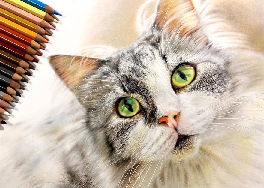 23 Hyper-Realistic Artworks Of Cats That Are Hard To Believe Aren’t Photographs By A Japanese Artist 23 Hyper-Realistic Artworks Of Cats That Are Hard To Believe Aren’t Photographs By A Japanese Artist