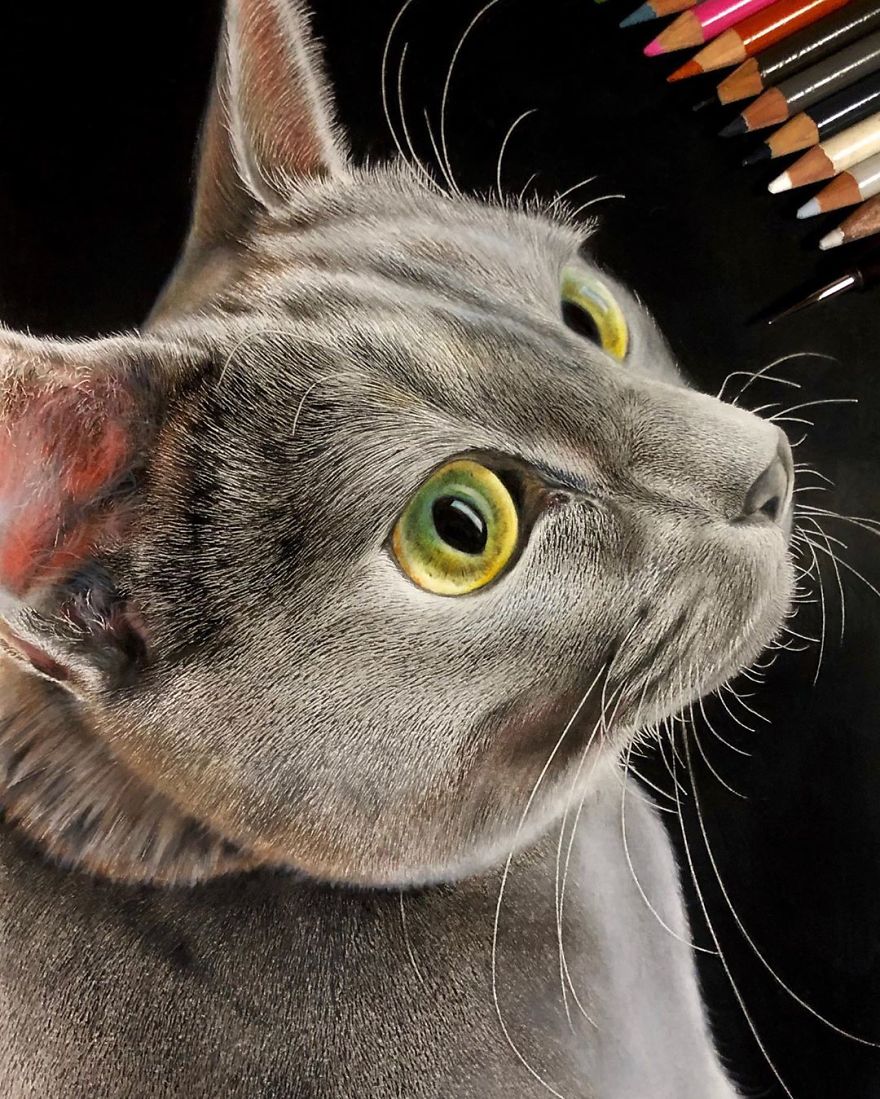 23 Hyper-Realistic Artworks Of Cats That Are Hard To Believe Aren’t Photographs By A Japanese Artist 23 Hyper-Realistic Artworks Of Cats That Are Hard To Believe Aren’t Photographs By A Japanese Artist