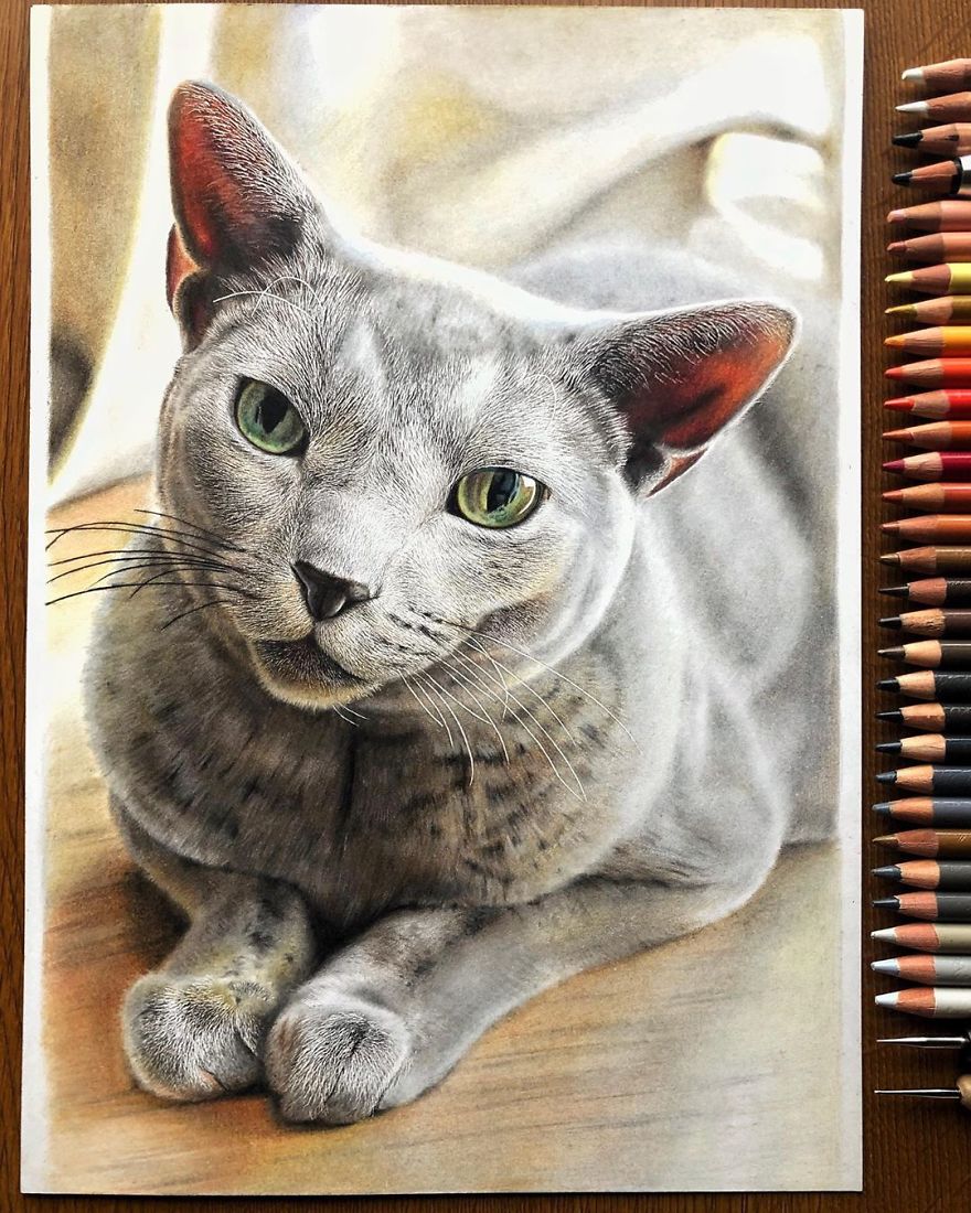 23 Hyper-Realistic Artworks Of Cats That Are Hard To Believe Aren’t Photographs By A Japanese Artist 23 Hyper-Realistic Artworks Of Cats That Are Hard To Believe Aren’t Photographs By A Japanese Artist