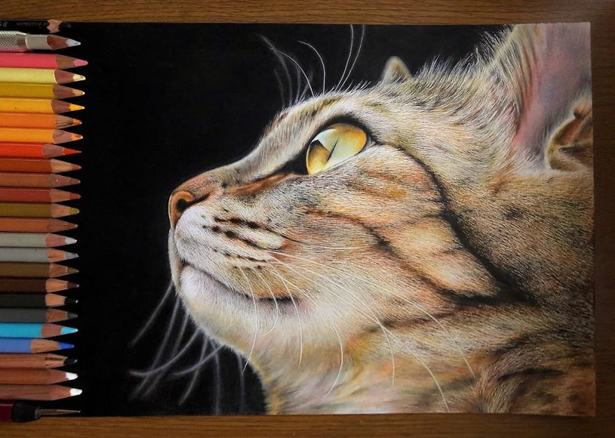 23 Hyper-Realistic Artworks Of Cats That Are Hard To Believe Aren’t Photographs By A Japanese Artist 23 Hyper-Realistic Artworks Of Cats That Are Hard To Believe Aren’t Photographs By A Japanese Artist