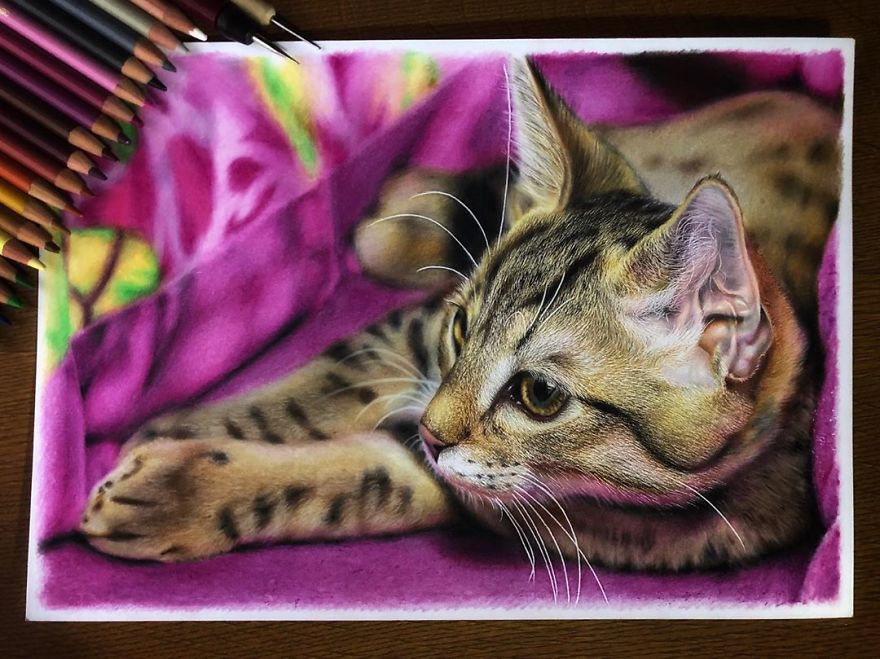 23 Hyper-Realistic Artworks Of Cats That Are Hard To Believe Aren’t Photographs By A Japanese Artist 23 Hyper-Realistic Artworks Of Cats That Are Hard To Believe Aren’t Photographs By A Japanese Artist