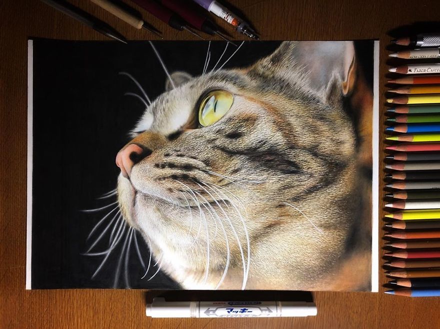 23 Hyper-Realistic Artworks Of Cats That Are Hard To Believe Aren’t Photographs By A Japanese Artist 23 Hyper-Realistic Artworks Of Cats That Are Hard To Believe Aren’t Photographs By A Japanese Artist