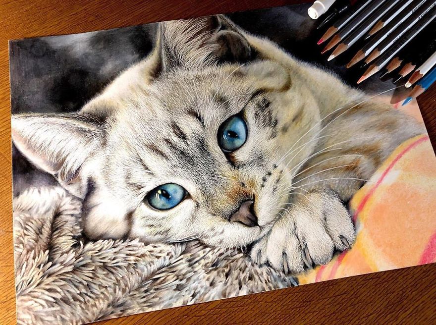 23 Hyper-Realistic Artworks Of Cats That Are Hard To Believe Aren’t Photographs By A Japanese Artist 23 Hyper-Realistic Artworks Of Cats That Are Hard To Believe Aren’t Photographs By A Japanese Artist
