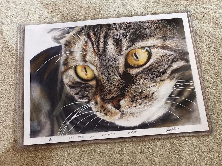 23 Hyper-Realistic Artworks Of Cats That Are Hard To Believe Aren’t Photographs By A Japanese Artist 23 Hyper-Realistic Artworks Of Cats That Are Hard To Believe Aren’t Photographs By A Japanese Artist