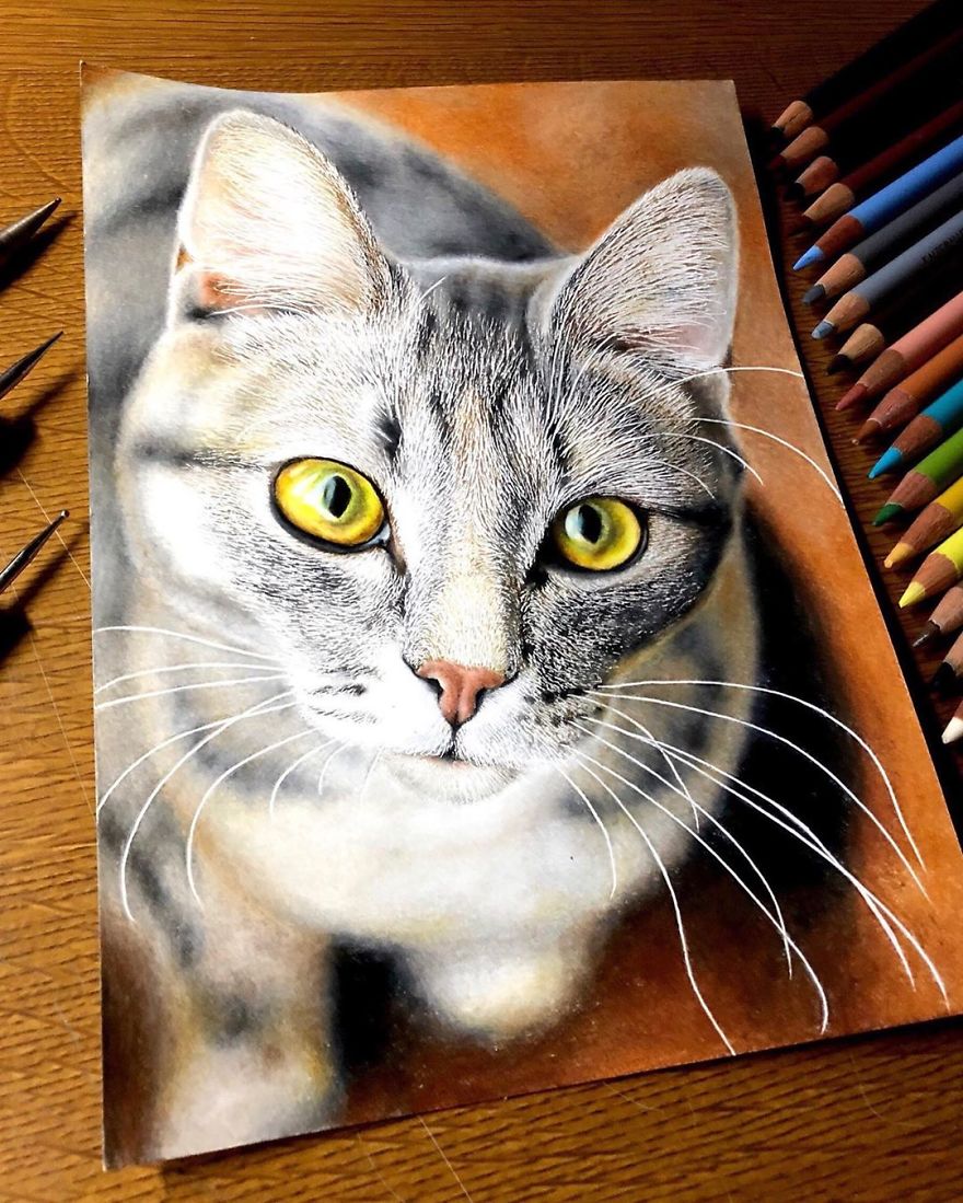 23 Hyper-Realistic Artworks Of Cats That Are Hard To Believe Aren’t Photographs By A Japanese Artist 23 Hyper-Realistic Artworks Of Cats That Are Hard To Believe Aren’t Photographs By A Japanese Artist