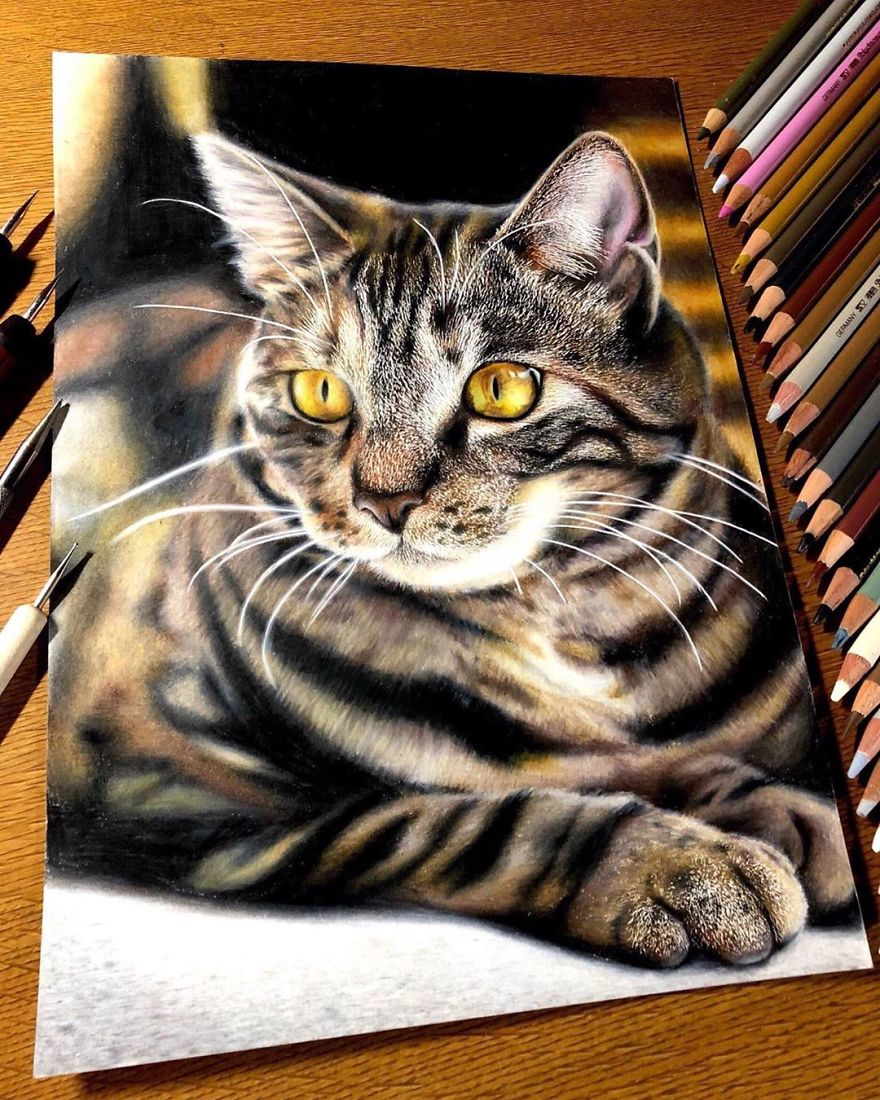 23 Hyper-Realistic Artworks Of Cats That Are Hard To Believe Aren’t Photographs By A Japanese Artist 23 Hyper-Realistic Artworks Of Cats That Are Hard To Believe Aren’t Photographs By A Japanese Artist