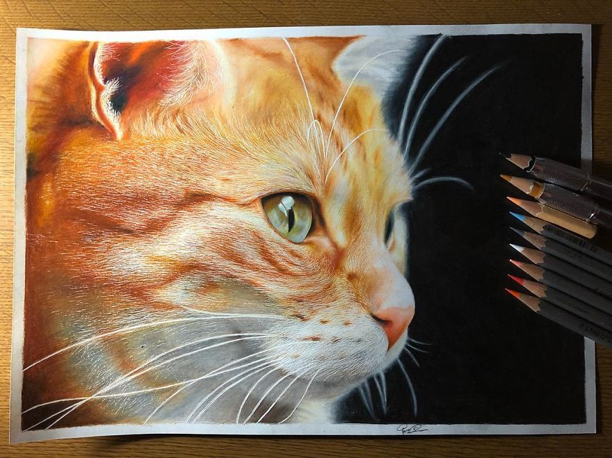 23 Hyper-Realistic Artworks Of Cats That Are Hard To Believe Aren’t Photographs By A Japanese Artist 23 Hyper-Realistic Artworks Of Cats That Are Hard To Believe Aren’t Photographs By A Japanese Artist