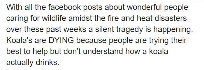 After One Koala Dies Due To Being Given Water Improperly, Vets Explain How To Do It Right After One Koala Dies Due To Being Given Water Improperly, Vets Explain How To Do It Right