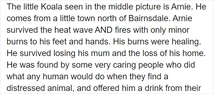 After One Koala Dies Due To Being Given Water Improperly, Vets Explain How To Do It Right After One Koala Dies Due To Being Given Water Improperly, Vets Explain How To Do It Right