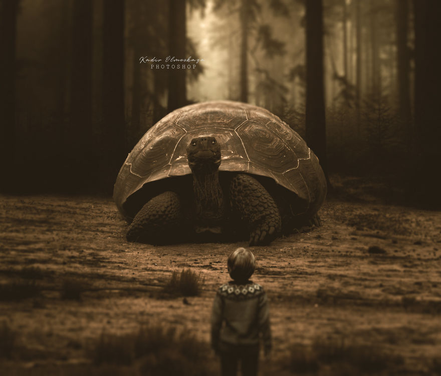 I Create Animal Photo Manipulations