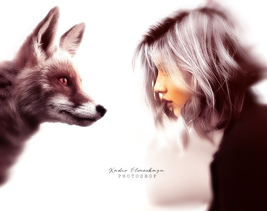 I Create Animal Photo Manipulations