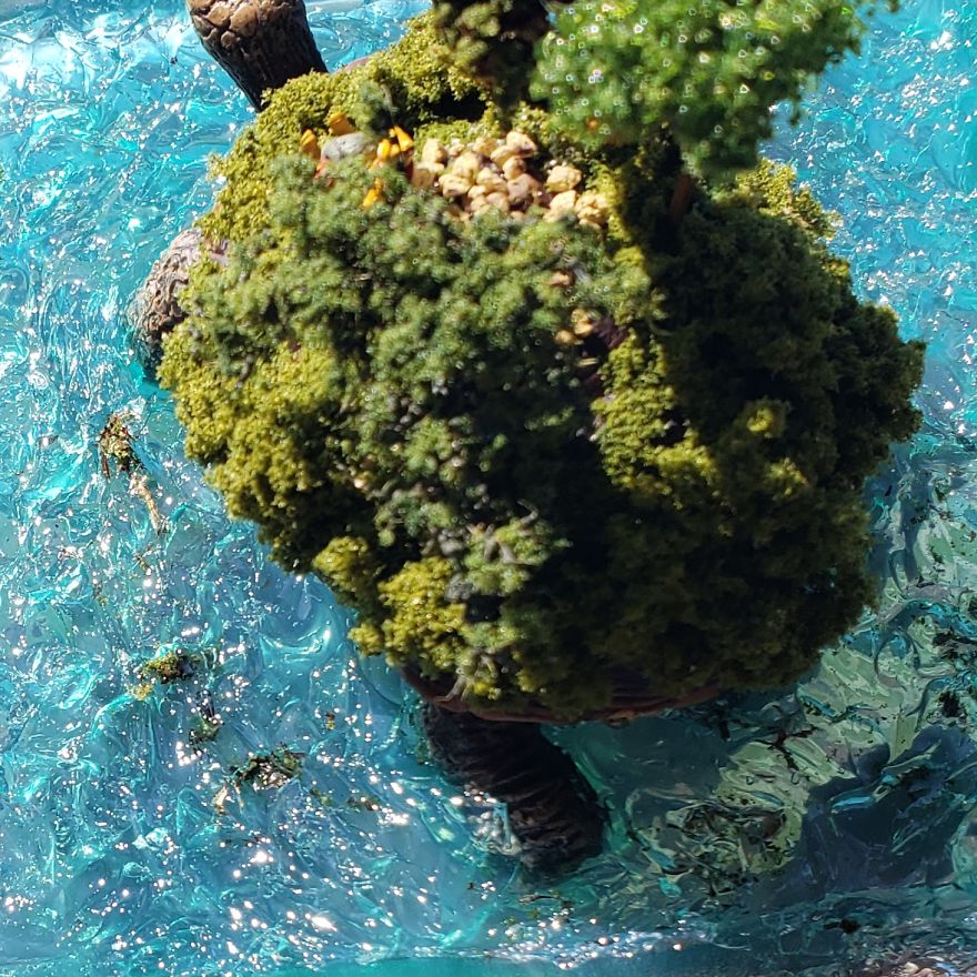 I Created This Turtle Island I Created This Turtle Island