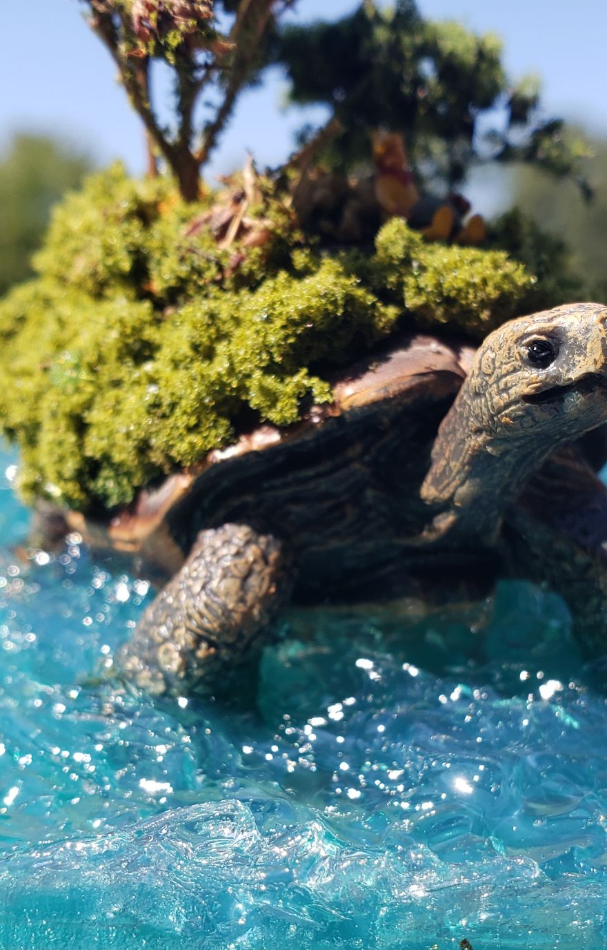 I Created This Turtle Island I Created This Turtle Island