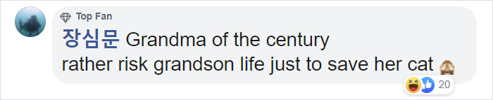 Grandma Goes Mission Impossible While Dangling A 7 Y.O. From The 5th Floor to Rescue Her Cat