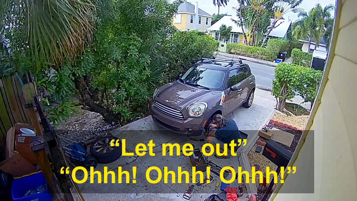 Man Has 4 Cops Show Up To His House Because His Parrot Screaming ‘Let Me Out’ Sounds Like A Woman Man Has 4 Cops Show Up To His House Because His Parrot Screaming ‘Let Me Out’ Sounds Like A Woman