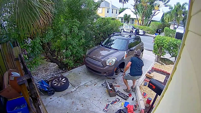 Man Has 4 Cops Show Up To His House Because His Parrot Screaming ‘Let Me Out’ Sounds Like A Woman Man Has 4 Cops Show Up To His House Because His Parrot Screaming ‘Let Me Out’ Sounds Like A Woman