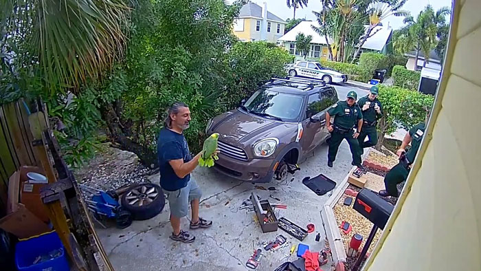 Man Has 4 Cops Show Up To His House Because His Parrot Screaming ‘Let Me Out’ Sounds Like A Woman Man Has 4 Cops Show Up To His House Because His Parrot Screaming ‘Let Me Out’ Sounds Like A Woman