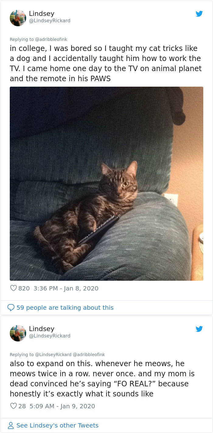 40 People Are Sharing True Stories About Themselves That Sound Completely Made Up 40 People Are Sharing True Stories About Themselves That Sound Completely Made Up