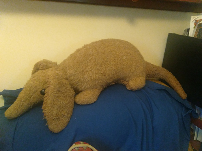This Man Wrote To A Toy Company Asking For A Stuffed Aardvark As A Kid, The Company Delivers And Names The Plushie After Him This Man Wrote To A Toy Company Asking For A Stuffed Aardvark As A Kid, The Company Delivers And Names The Plushie After Him
