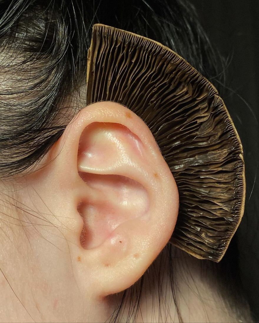 This Russian Artist Dresses Herself And Her Models In Surreal And Weird Costumes Made Out Of Vegetables, Fruits And Plants (74 Pics) This Russian Artist Dresses Herself And Her Models In Surreal And Weird Costumes Made Out Of Vegetables, Fruits And Plants (74 Pics)