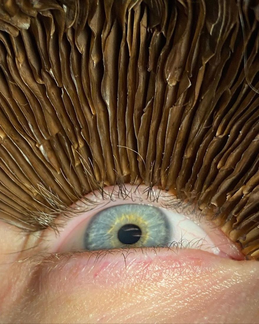 This Russian Artist Dresses Herself And Her Models In Surreal And Weird Costumes Made Out Of Vegetables, Fruits And Plants (74 Pics) This Russian Artist Dresses Herself And Her Models In Surreal And Weird Costumes Made Out Of Vegetables, Fruits And Plants (74 Pics)