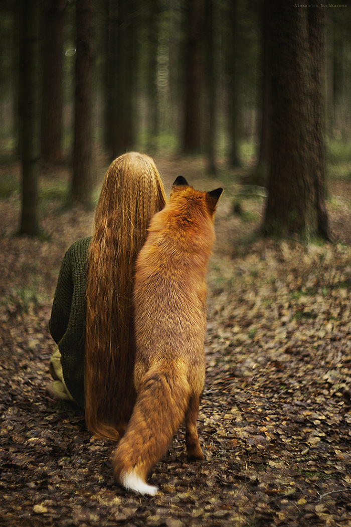 Follow Me To The Forest