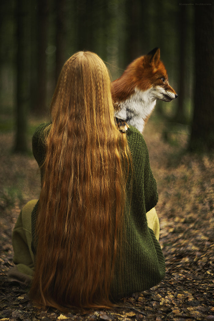 Follow Me To The Forest