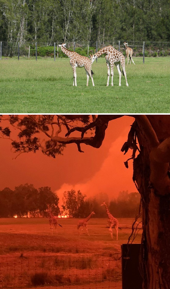 19 Then And Now Photos Of Australia Show How Much Damage The Fires Have Already Done 19 Then And Now Photos Of Australia Show How Much Damage The Fires Have Already Done