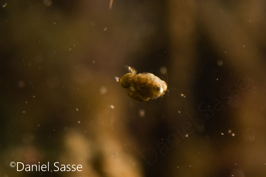 I Do Underwater Photography And It’s Not Easy I Do Underwater Photography And It’s Not Easy