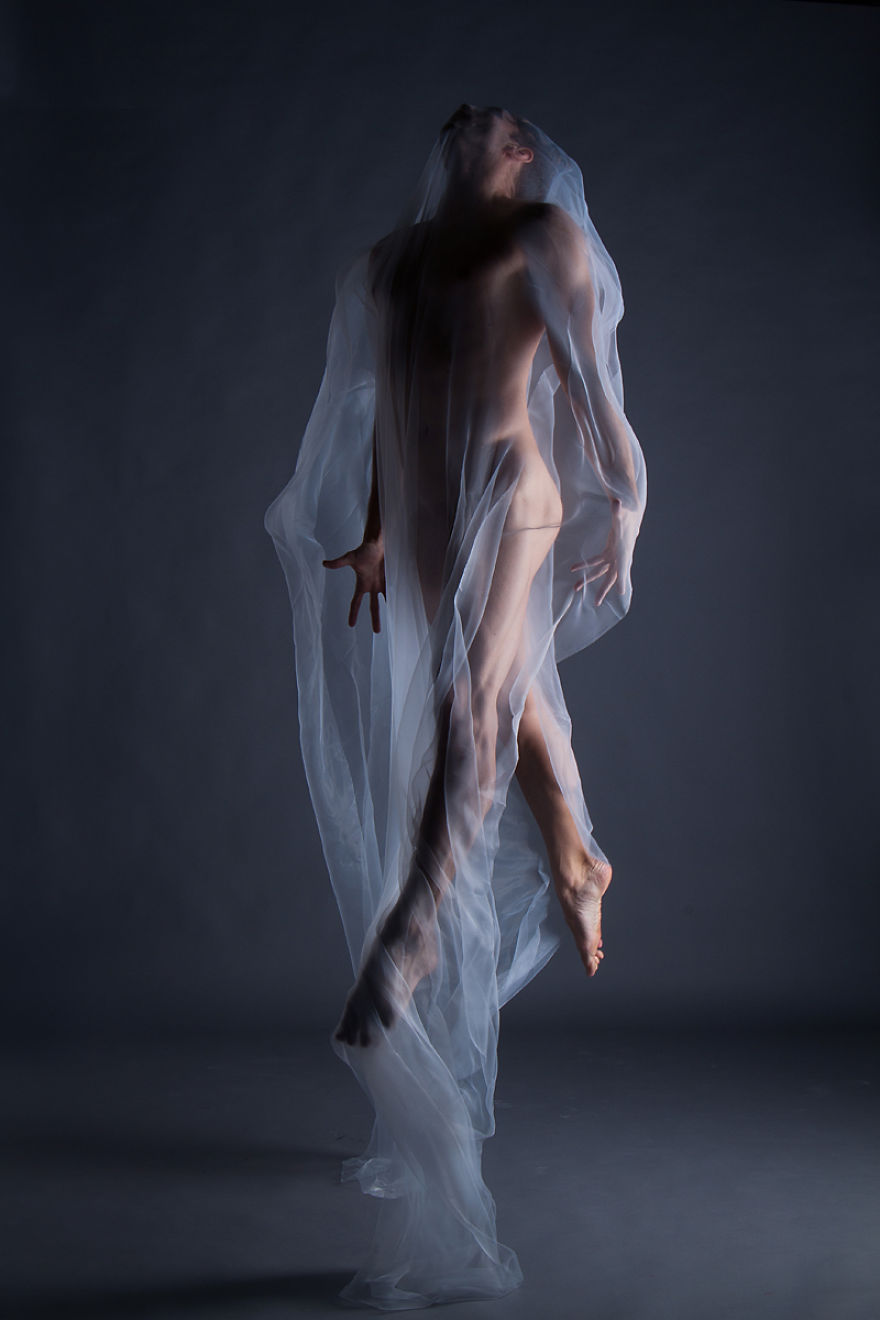 I’m Raising Money For The Australian Bushfires I’m Raising Money For The Australian Bushfires